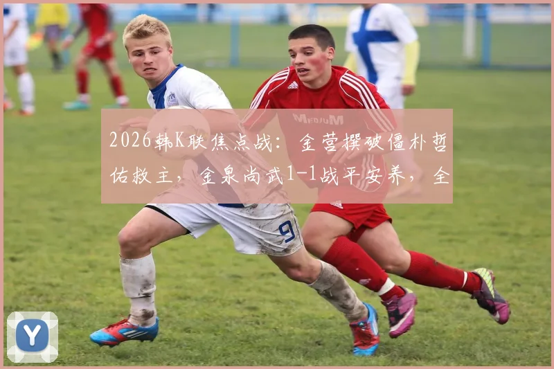 2026韩K联焦点战：金营撰破僵朴哲佑救主，金泉尚武1-1战平安养，全场赛况深度回顾